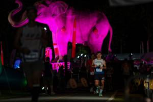 BIB: 
                            <button type="button" onclick="openModal(26530651)" class="btn btn-primary btn-sm float-right btn-popup" data-toggle="modal" data-target=".modal-high-quality">
                        <i class="fas fa-shopping-cart"></i> Add to Cart
                    </button>
                                            <button type="button" onclick="isThisMe(26530651, true)" class="btn btn-success btn-sm float-right btn-popup btn-isme hidden" data-toggle="tooltip" data-placement="bottom" title="นี่คือรูปของคุณใช่ไหม คลิกที่นี่เพื่อเอาเข้าอัลบั้ม">
                        <i class="fas fa-plus"></i> Add to album
                    </button>
                    <button type="button" onclick="isThisMe(26530651, false)" class="btn btn-warning btn-sm float-right btn-popup btn-isnotme hidden">
                        <i class="fas fa-ban"></i> Remove from album
                    </button>